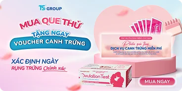 Promo banner