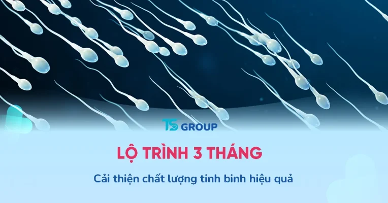 Lộ trình 3 tháng cải thiện chất lượng tinh binh cùng Andrositol Plus