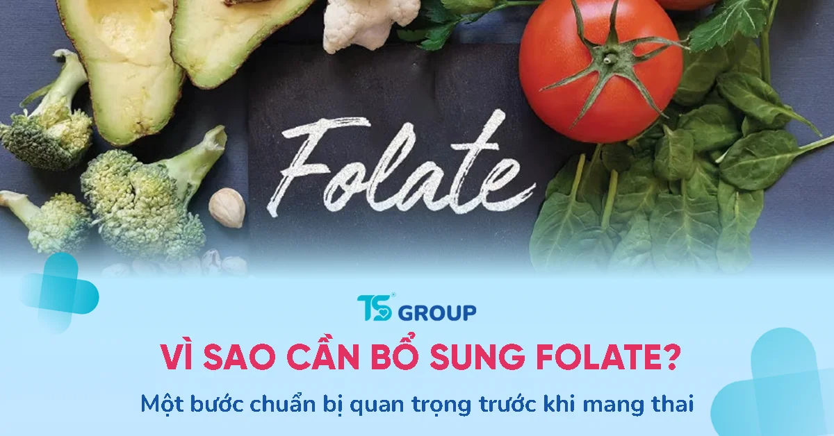 Phụ nữ chuẩn bị có thai cần bổ sung folate vì sao?