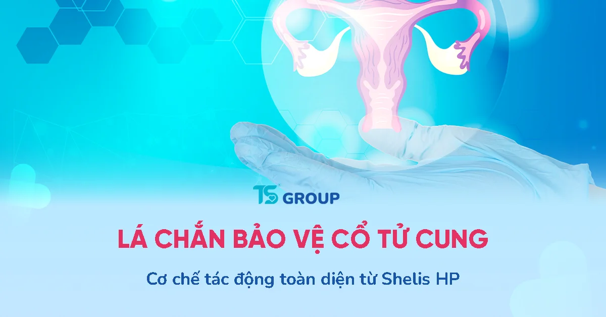 Shelis HP có tác dụng gì? Cơ chế “lá chắn” bảo vệ cổ tử cung toàn diện